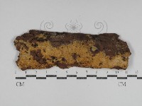 登錄號:F0031224藏品圖，第1張