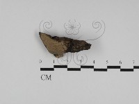 登錄號:F0031226藏品圖，第3張