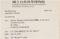 登錄號:F0031226藏品圖，第4張