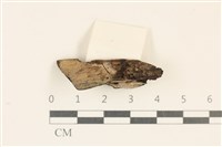 登錄號:F0031226藏品圖，第1張
