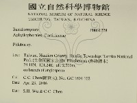 登錄號:F0031228藏品圖，第2張