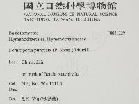 登錄號:F0031229藏品圖，第2張