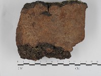 登錄號:F0031229藏品圖，第1張