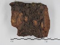 登錄號:F0031229藏品圖，第3張