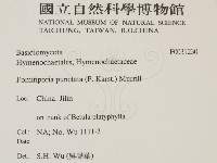 登錄號:F0031230藏品圖，第2張