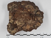 登錄號:F0031230藏品圖，第3張