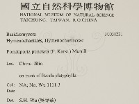 登錄號:F0031231藏品圖，第2張