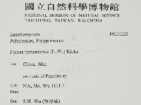 登錄號:F0031233藏品圖，第2張