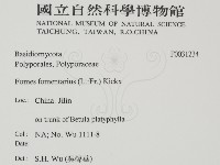 登錄號:F0031234藏品圖，第2張