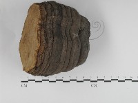 登錄號:F0031234藏品圖，第1張