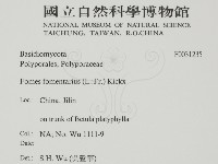 登錄號:F0031235藏品圖，第2張