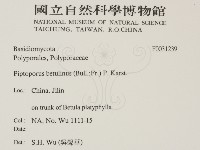 登錄號:F0031239藏品圖，第2張