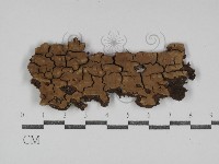 登錄號:F0031245藏品圖，第1張