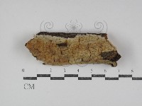 登錄號:F0031247藏品圖，第1張