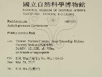 登錄號:F0031252藏品圖，第2張