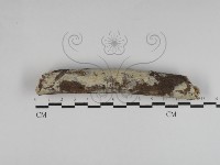 登錄號:F0031253藏品圖，第1張