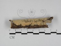 登錄號:F0031255藏品圖，第1張