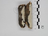 登錄號:F0031257藏品圖，第4張