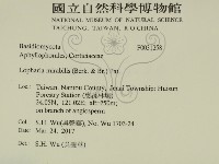 登錄號:F0031258藏品圖，第2張