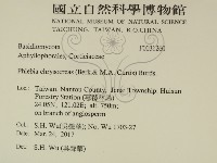 登錄號:F0031260藏品圖，第2張