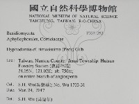 登錄號:F0031262藏品圖，第2張