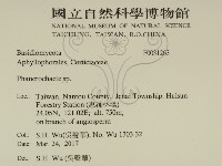 顯絲菌屬藏品圖，第2張