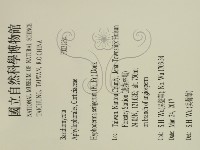 剛毛絲皮菌藏品圖，第2張