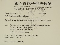 登錄號:F0031265藏品圖，第2張