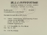 登錄號:F0031269藏品圖，第2張