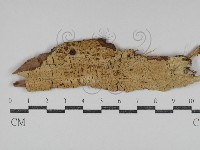 登錄號:F0031269藏品圖，第1張