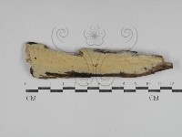 登錄號:F0031272藏品圖，第1張