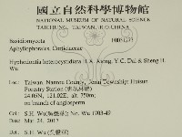 登錄號:F0031273藏品圖，第2張