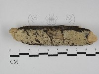 登錄號:F0031273藏品圖，第1張