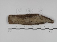 登錄號:F0031275藏品圖，第1張