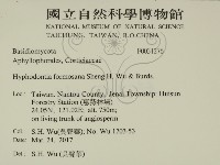 登錄號:F0031276藏品圖，第2張