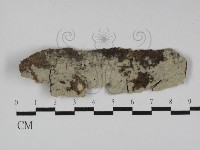 登錄號:F0031276藏品圖，第1張