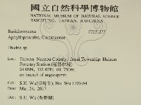 射脈菌屬藏品圖，第2張