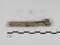 登錄號:F0031279藏品圖，第1張