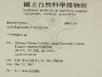 粗糙孢菌屬藏品圖，第2張
