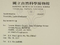 登錄號:F0031287藏品圖，第2張