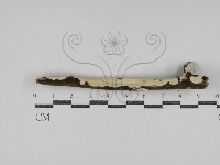 登錄號:F0031287藏品圖，第1張