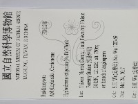 剛毛絲皮菌藏品圖，第2張