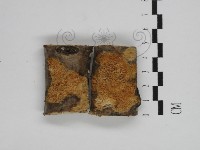 登錄號:F0031294藏品圖，第1張