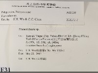 登錄號:F0031295藏品圖，第2張