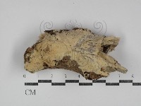 登錄號:F0031295藏品圖，第1張