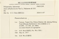登錄號:F0031295藏品圖，第3張
