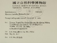 登錄號:F0031296藏品圖，第2張