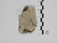 登錄號:F0031297藏品圖，第1張