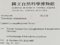 登錄號:F0031302藏品圖，第2張