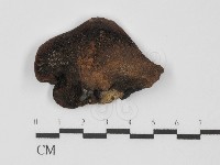 登錄號:F0031304藏品圖，第4張